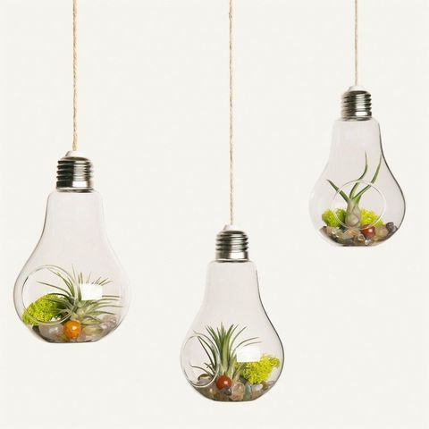 13 Best Indoor Hanging Planters