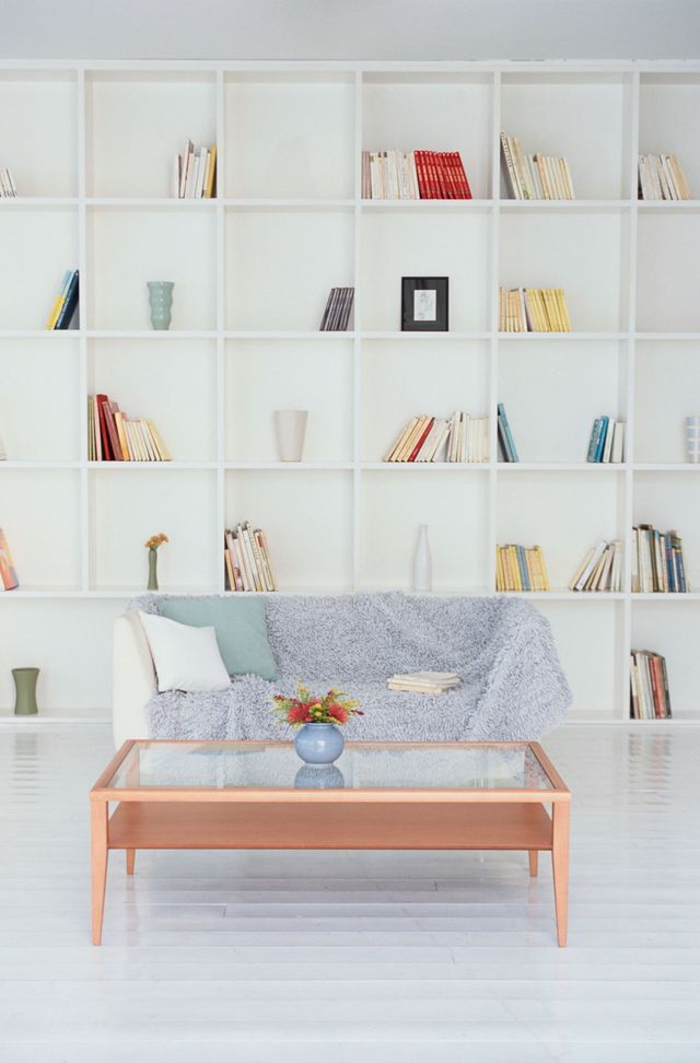 Shelves, Sofa and Coffee Table