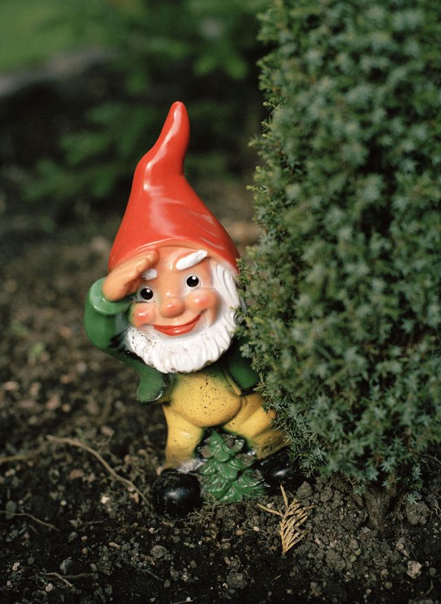 A garden gnome close-up
