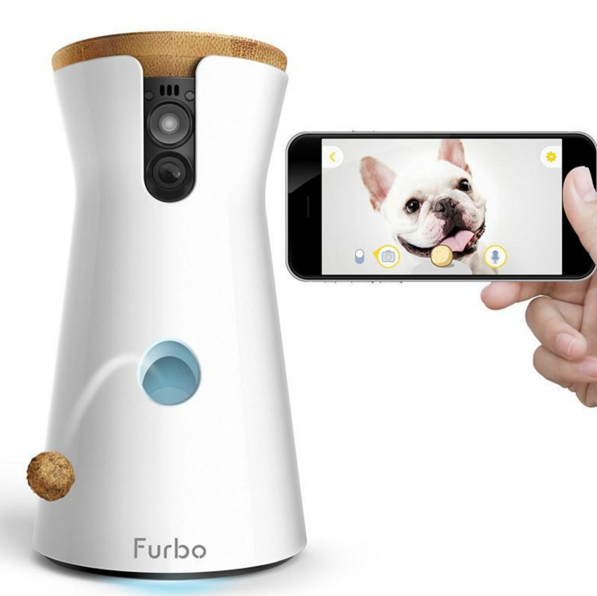 Furbo - dog app - Amazon