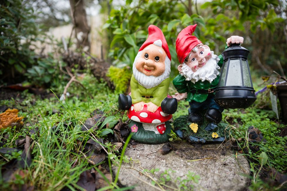 Two garden gnomes in a leafy garden setting. One is holding a lantern. One is sitting on a toadstool