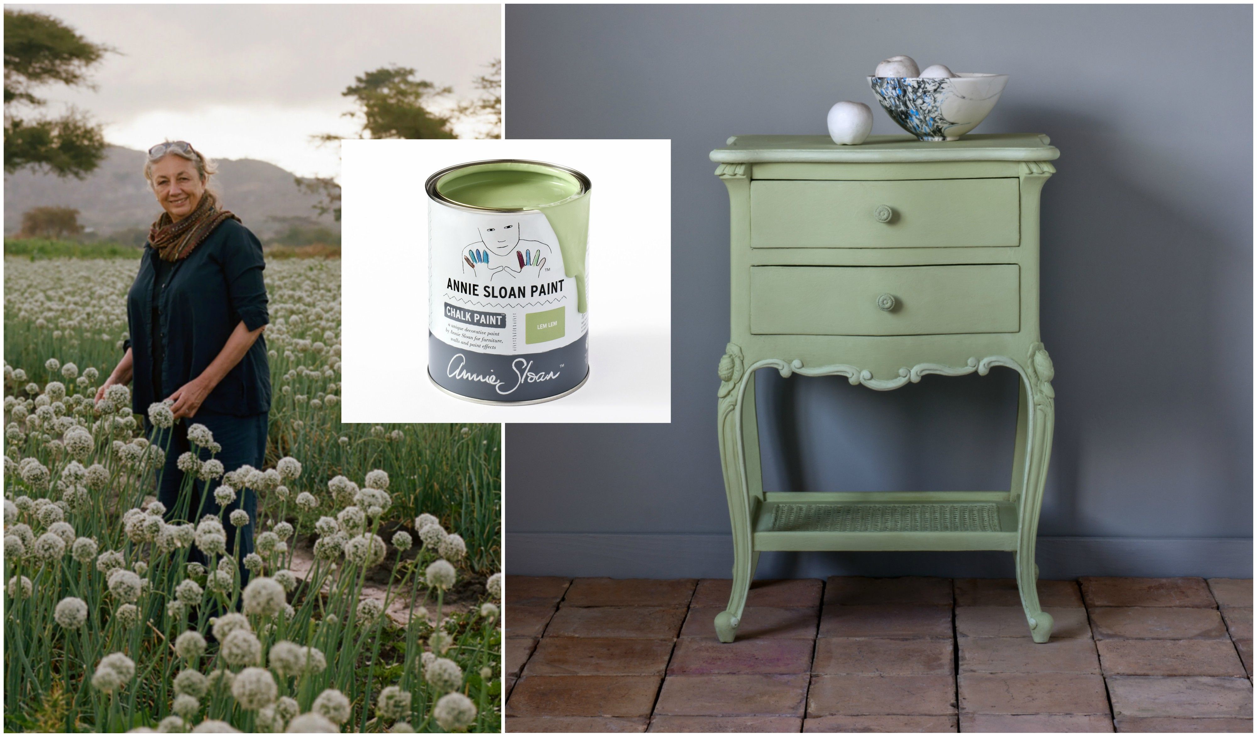 how to paint with annie sloan chalk paint