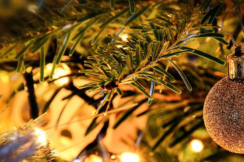 Close-Up Of Christmas Tree with Gold Bauble