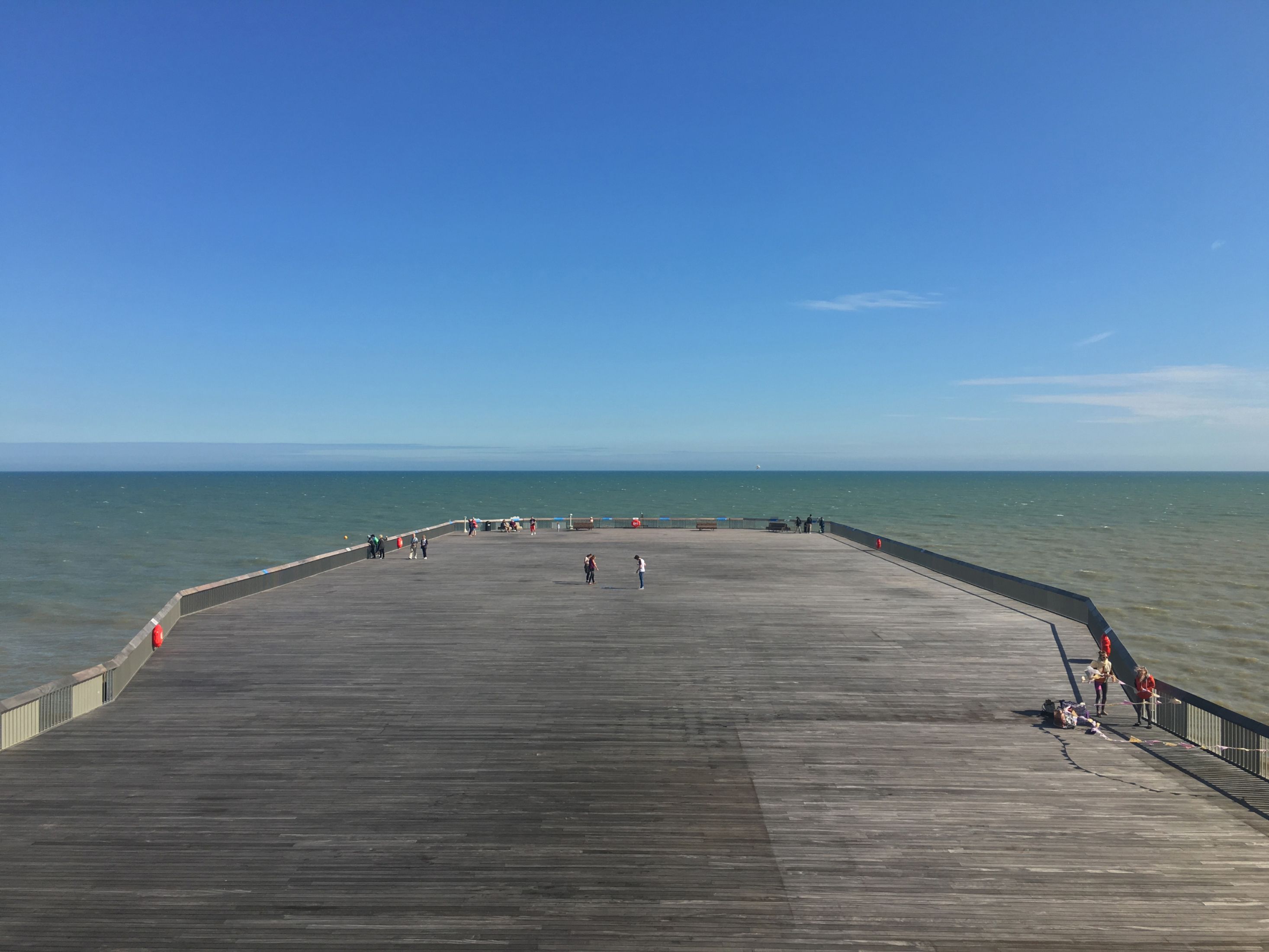 can you take dogs on hastings pier