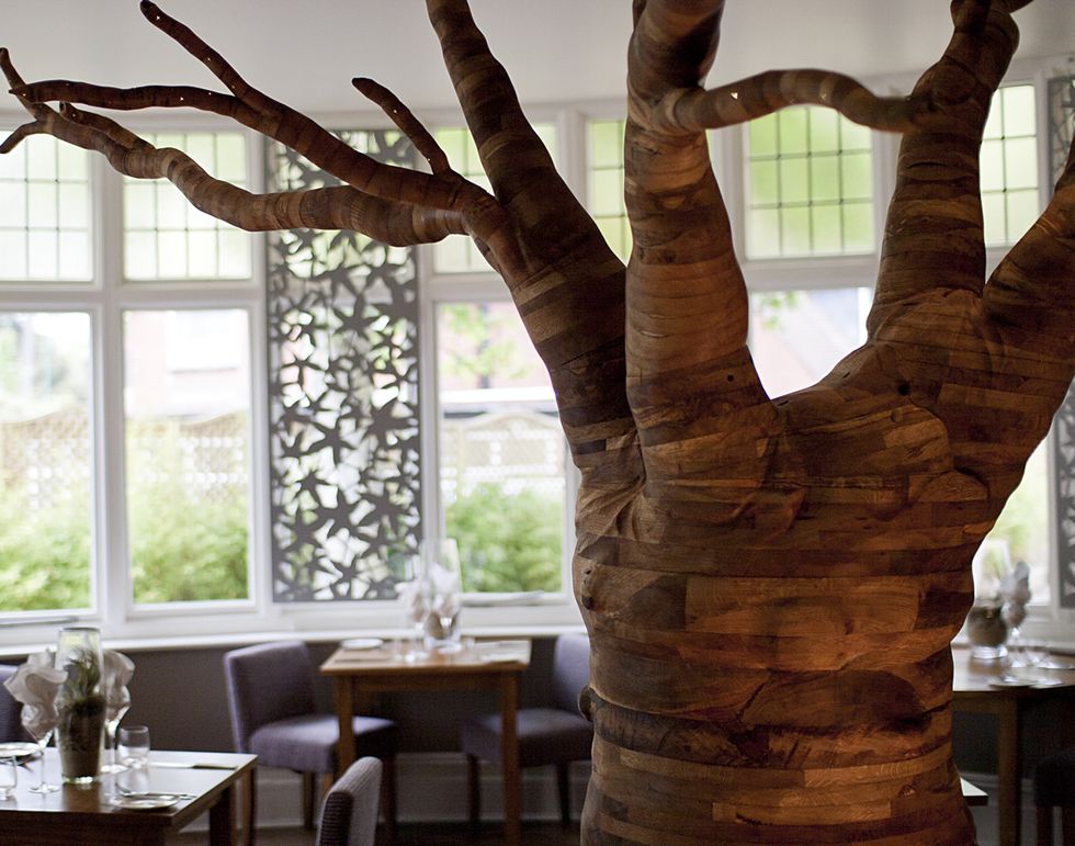 The Green House Hotel - Bournemouth - Arbor restaurant - tree - upclose