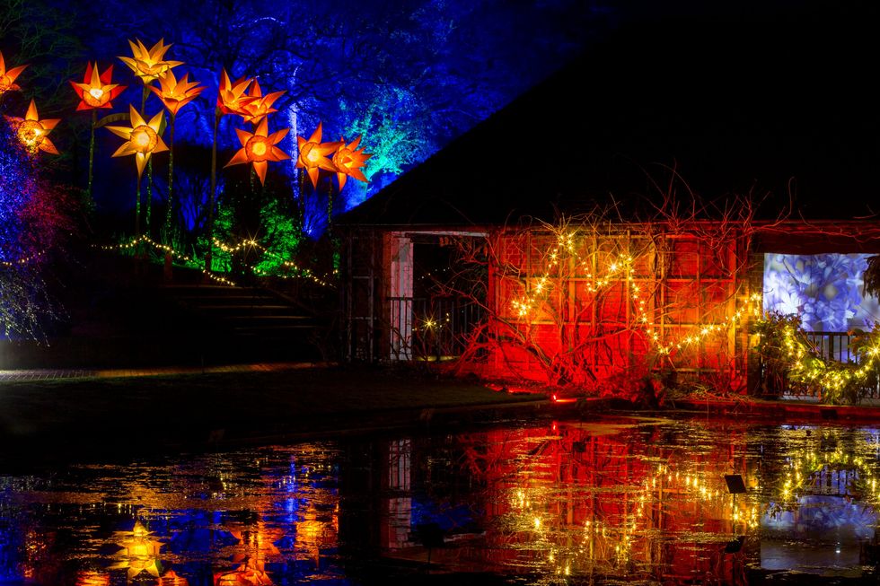 RHS Garden Wisley Christmas Glow event
