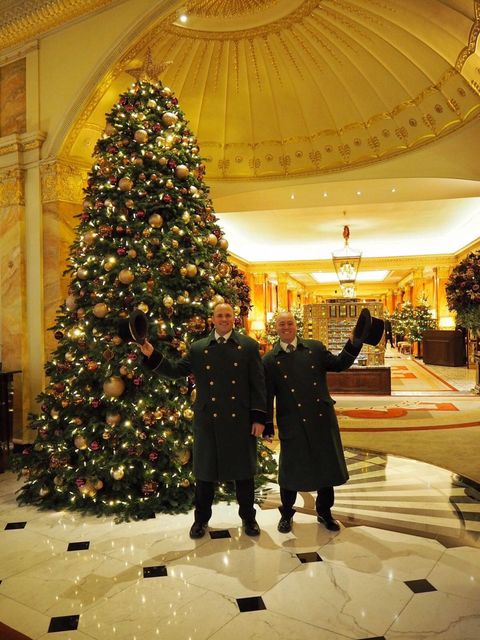 Best Hotel Christmas Trees From Around The World