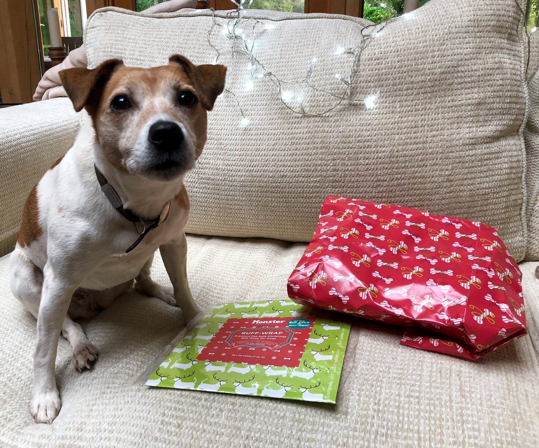 Introducing The Uk S First Dog Friendly Wrapping Paper Wrapping