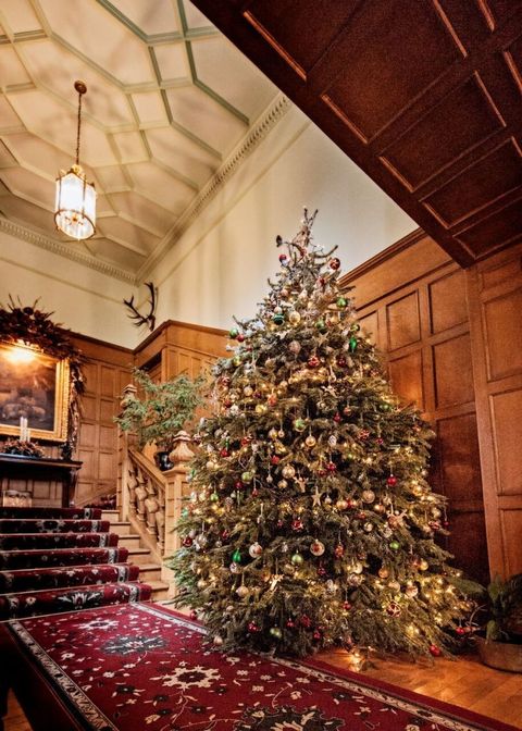 Best Hotel Christmas Trees From Around The World