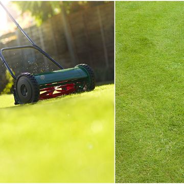 Lawn care - winter to summer