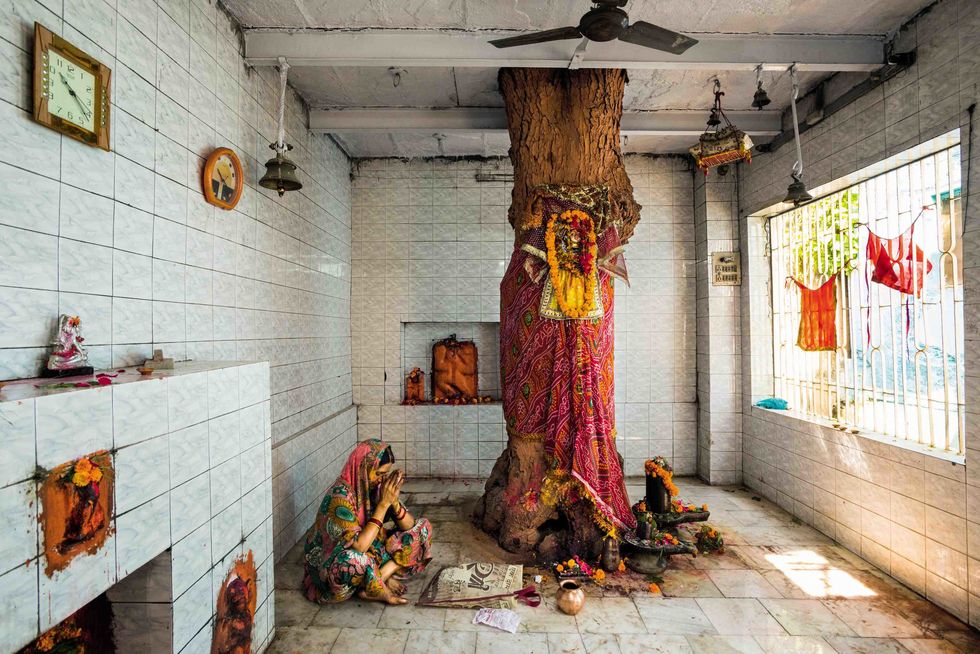Neem Tree, sacred tree shrine, Nanghan Bir Baba Temple, Bhadaini district, Varanasi (Benares), Uttar Pradesh, India.  The Neem tree is adorned with ornate red cloth and facemask that honors the Goddess Shitala.  As a sign of respect to the Goddess, the residents of Bhadaini built a temple around their sacred tree. The Neem, like the Pipal Tree, has a long history of veneration in India, as evidenced by art circa 2500 B.C., found in the Indus Valley.  The Neem Tree (Azadirachta Indica) is in the mahogany family, and is a fast growing, drought-resistant tree.  It is a tree with immense medicinal value, and is often referred to as ‚Äúthe village pharmacy‚Äù.  Various parts of the tree are used to treat or prevent illnesses such as malaria and diabetes ‚Äì and the leaves are used to prevent insect infestations.  Most worship the Neem as the goddess, Shitala - the goddess of good fortune.  Shitala means the ‚ÄúCool One‚Äù, and is aptly named for her protection from dangerous high fevers from smallpox, malaria, and chicken pox, among others.  The tree is either viewed as the residence of the goddess or an embodiment of her.  Worshippers often adorn the tree with an ornate red cloth and facemask, to enhance their relationship with the tree as a goddess.