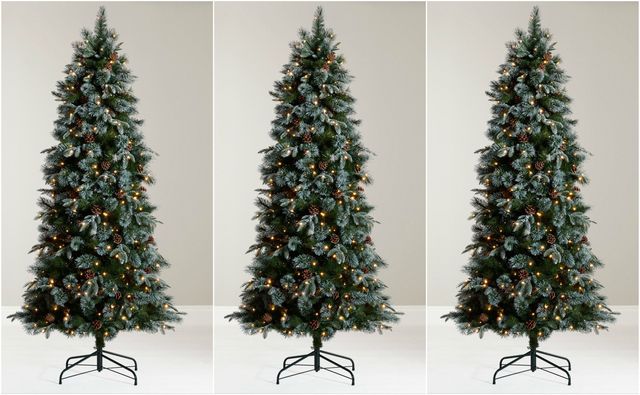John Lewis Pre-Lit Foxtail Pine Christmas Tree, 6.5ft