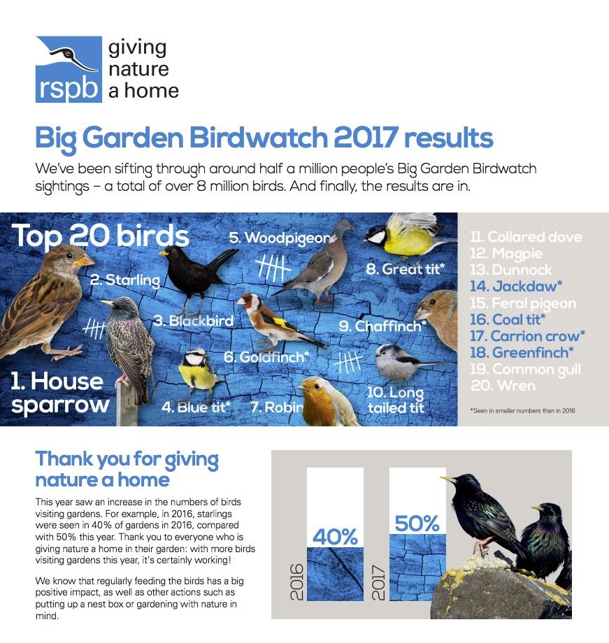 birdwatch results