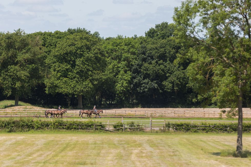 Harford Manor - Berkshire - horses - Savills