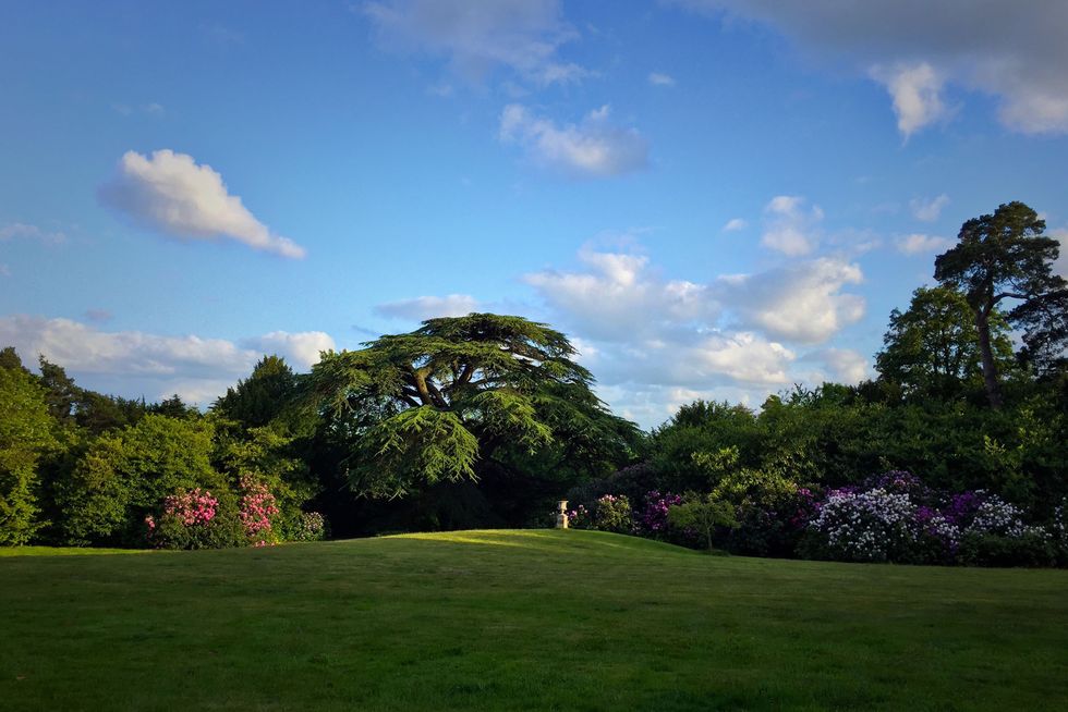 St Ann's Court - Chertsey - Surrey - garden -  Knight Frank