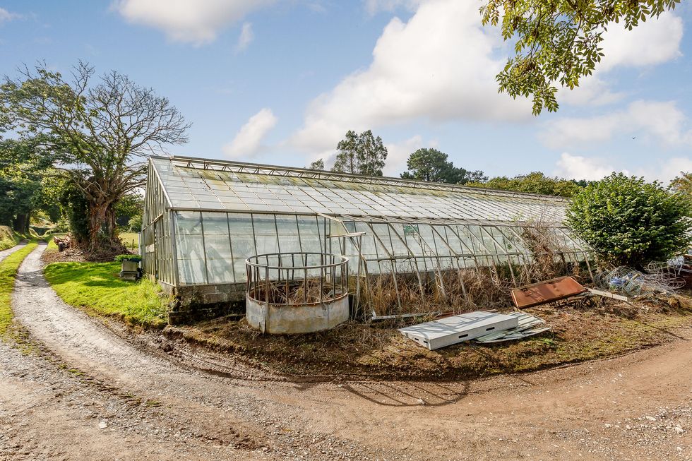 Rumleigh House - Yelverton - Devon - greenhouse - Strutt and Parker