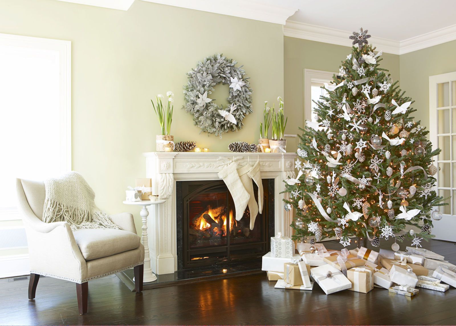 10 Types of Christmas Trees: Shop Our Top Picks for the Holidays 10 Types Of Christmas Trees: Shop Our Top Picks For The Holidays