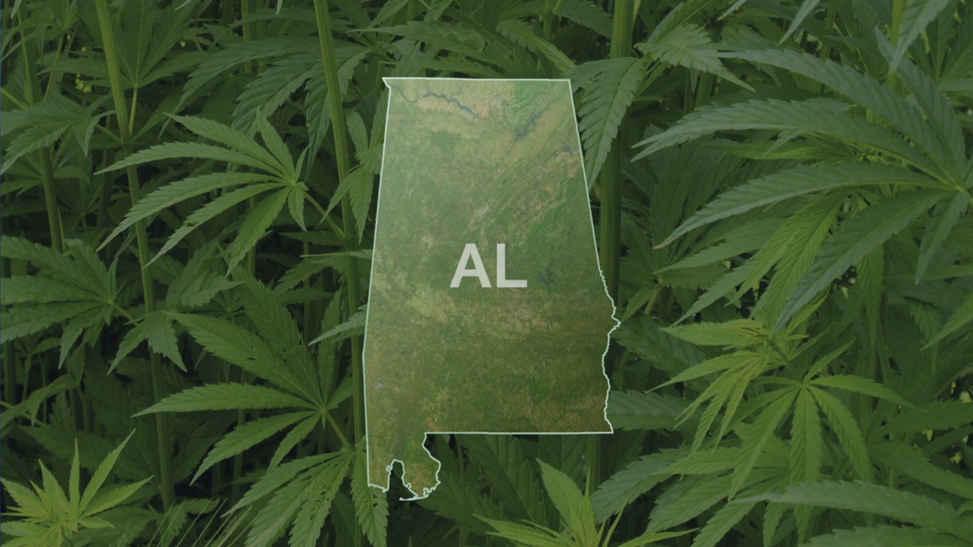 Alabama stance deals on marijuana