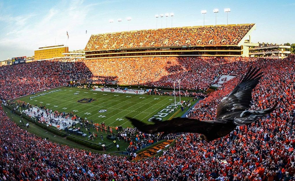 Jordan hare on sale