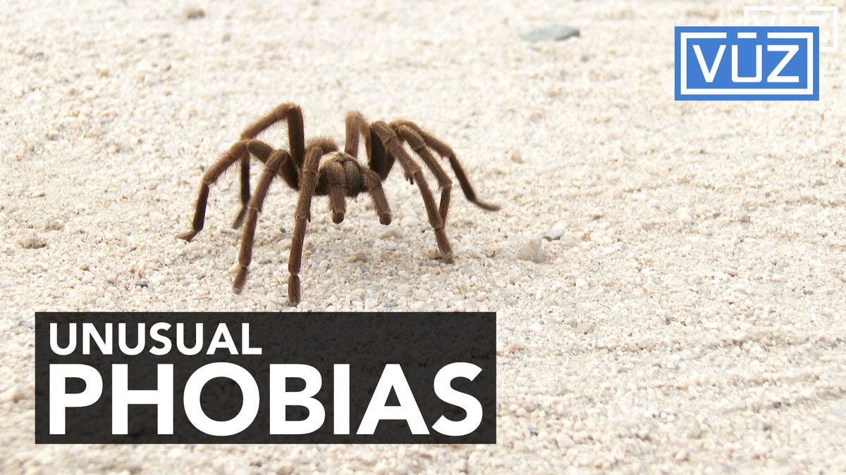 preview for Unusual Phobias