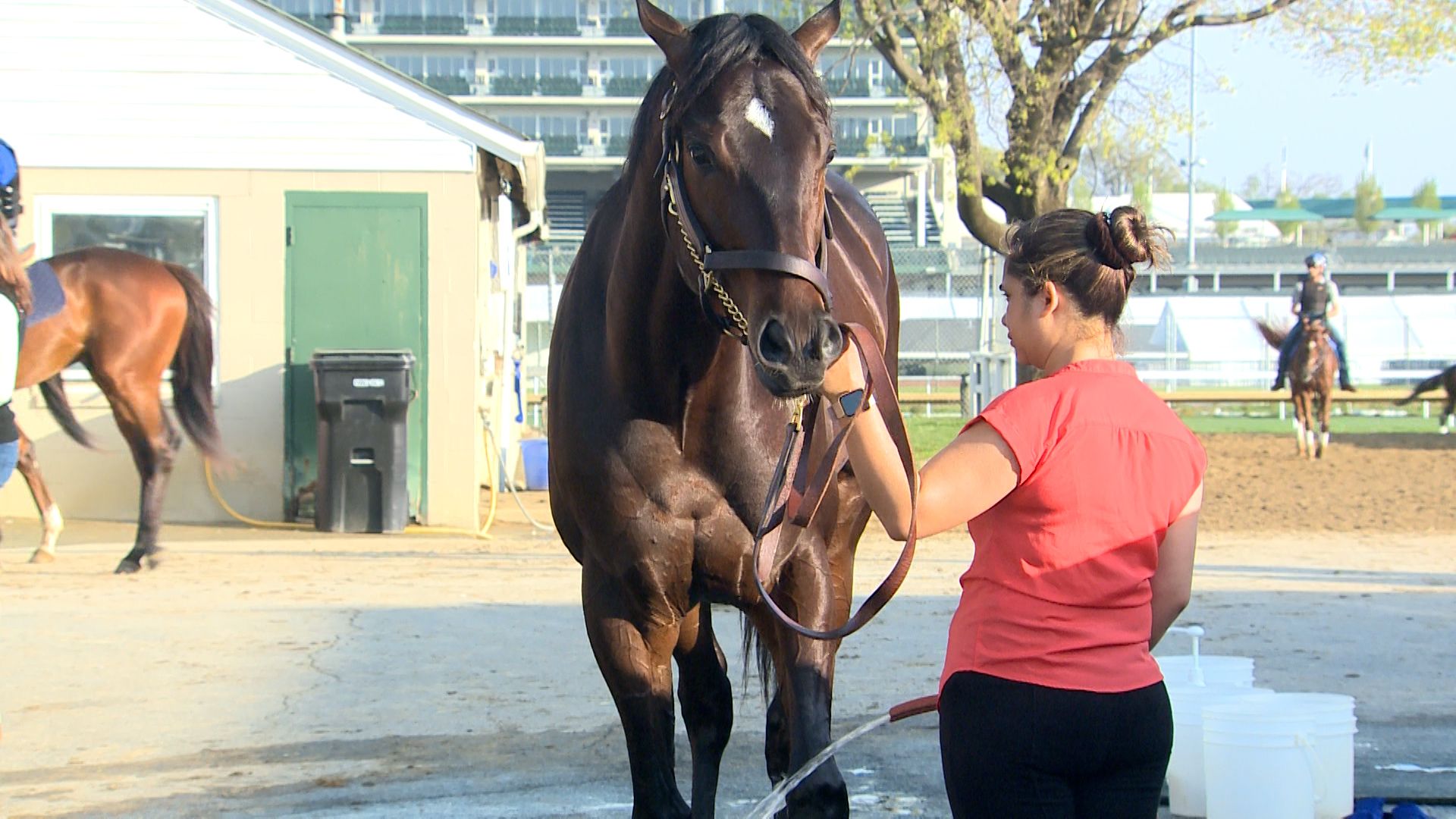 Mackins on Derby trail as Smile Happy takes Ky Jockey Club - Kentucky  Horsemen's Benevolent and Protective Association