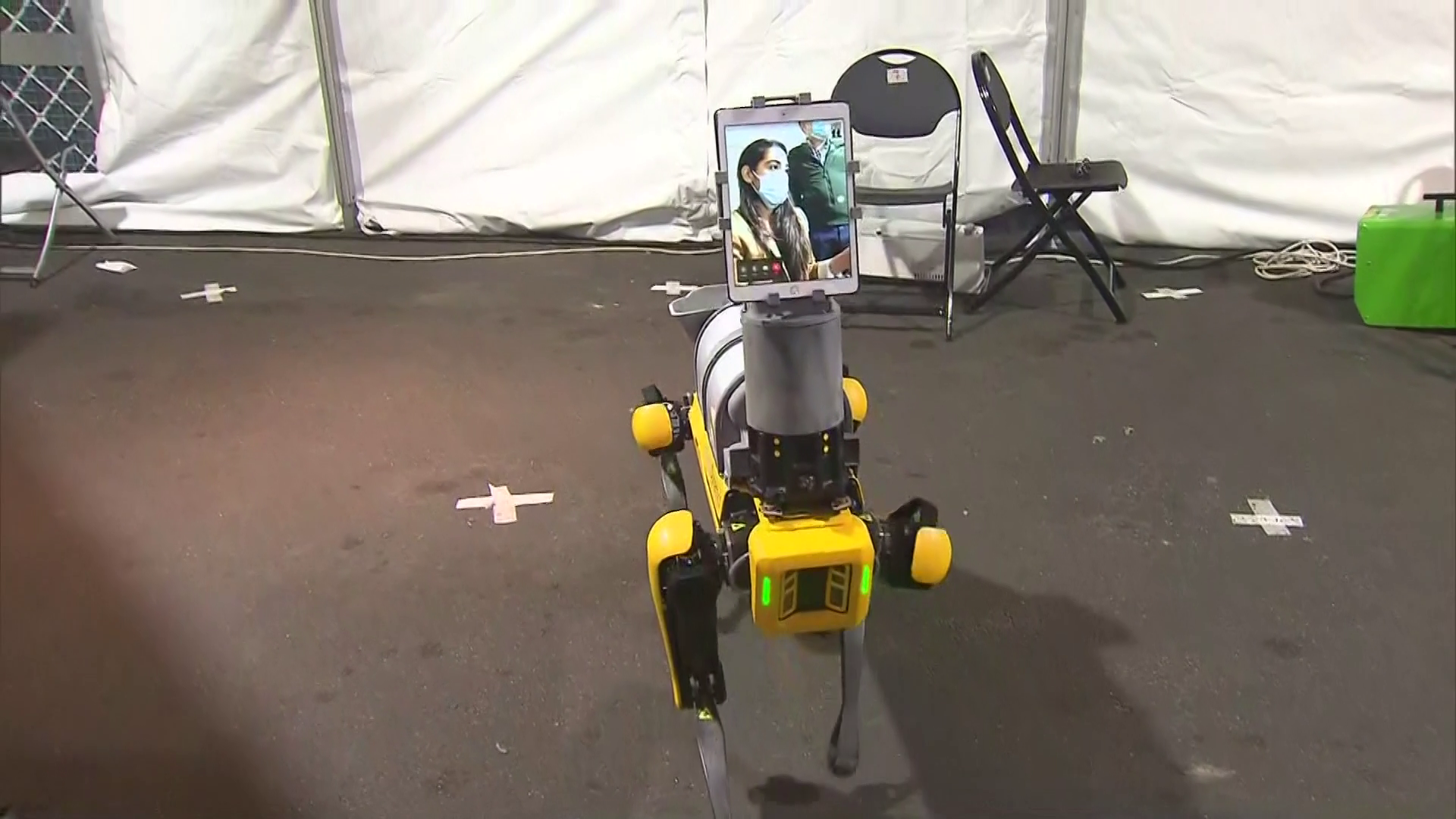75000 dollar robot dog