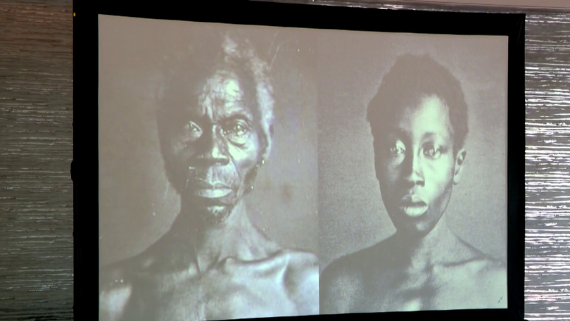 Harvard agrees to relinquish early photos of enslaved people, ending legal battle