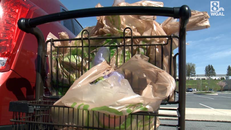 How will Wegmans' plastic bag ban affect Instacart deliveries?