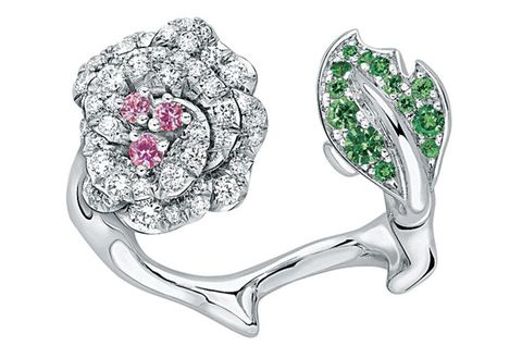 Diamond, Jewellery, Fashion accessory, Gemstone, Engagement ring, Platinum, Body jewelry, Ring, Plant, Pre-engagement ring, 