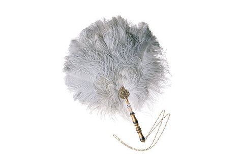 Feather, Fashion accessory, Quill, Writing implement, Pen, Fur, 