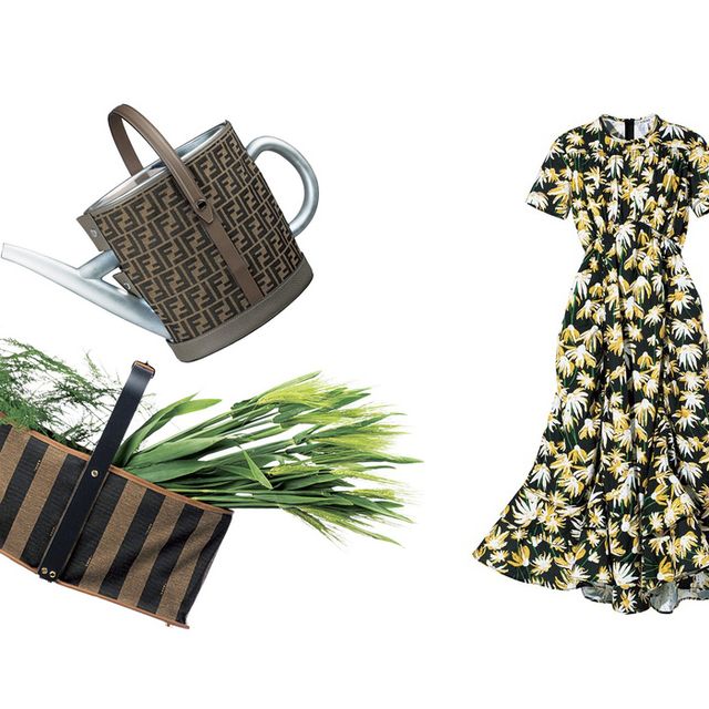 Grass, Plant, Fashion accessory, 