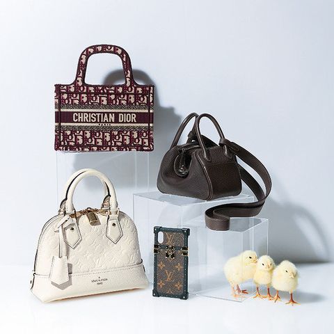 Bag, Handbag, Fashion accessory, Product, Birkin bag, Design, Material property, Luggage and bags, Shoulder bag, Font, 