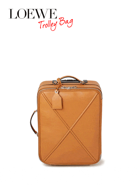 Bag, Handbag, Tan, Brown, Leather, Fashion accessory, Hand luggage, Luggage and bags, Font, Baggage, 