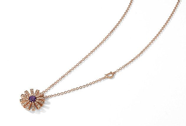 resize_image.php?image=damiani