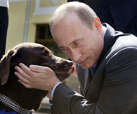 ロシア大統領選目前 愛犬家 プーチン大統領とワンコのベストショット12