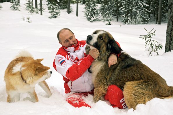 ロシア大統領選目前 愛犬家 プーチン大統領とワンコのベストショット12