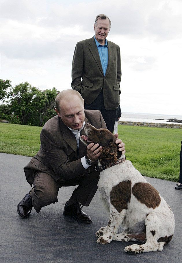 ロシア大統領選目前 愛犬家 プーチン大統領とワンコのベストショット12