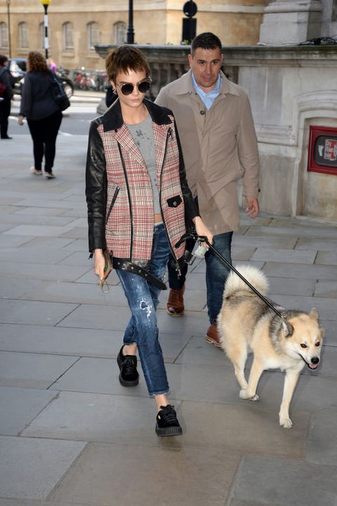 セレブと愛犬の愛が溢れるお出かけスタイルをcheck