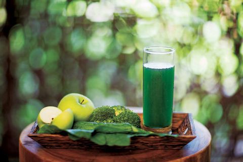 Green, Drink, Vegetable juice, Juice, Plant, Food, Limonana, Liqueur, Non-alcoholic beverage, Forest, 