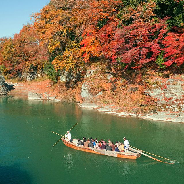 Water transportation, Rowing, Watercraft rowing, Boating, Outdoor recreation, River, Waterway, Recreation, Oar, Tree, 