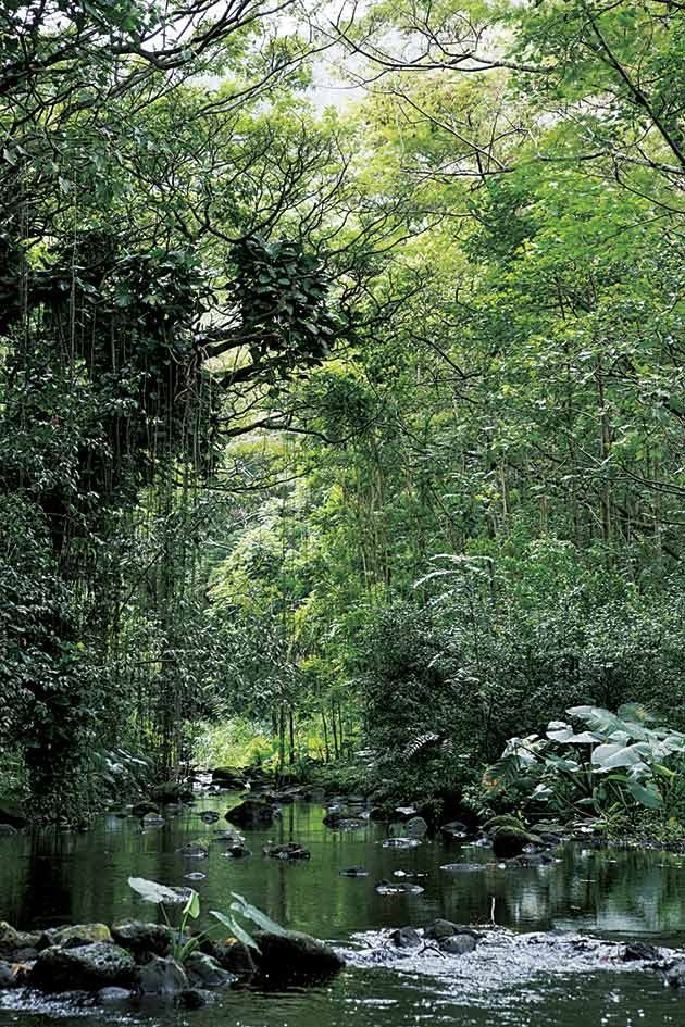 風水師 李家幽竹先生おすすめ ハワイの開運スポット ハワイ島編