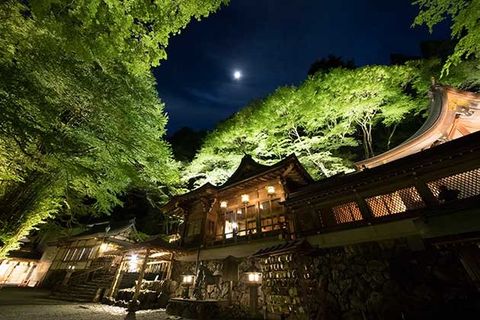 Night, Sky, Nature, Green, Tree, Light, Lighting, Architecture, Atmosphere, House, 
