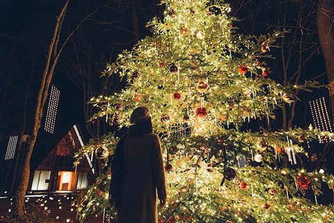 Tree, Lighting, Christmas lights, Leaf, Sky, Night, Christmas decoration, Plant, Woody plant, Branch, 