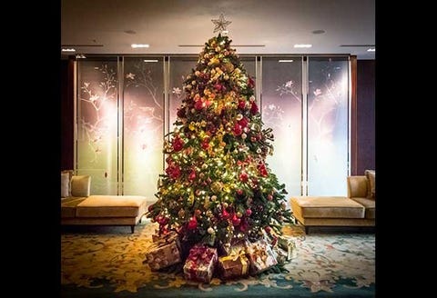 ホテルの豪華なクリスマスツリー 19 前編