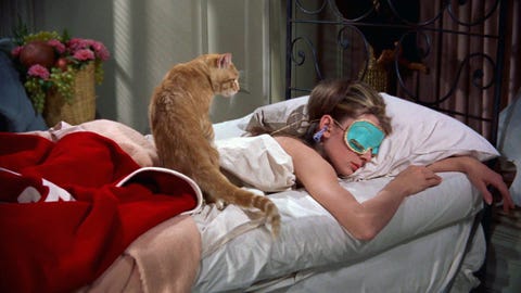 猫の日 はこれで癒されたい 猫好きに捧げる映画10選 猫の日 はこれで癒されたい 猫好きに捧げる映画10選