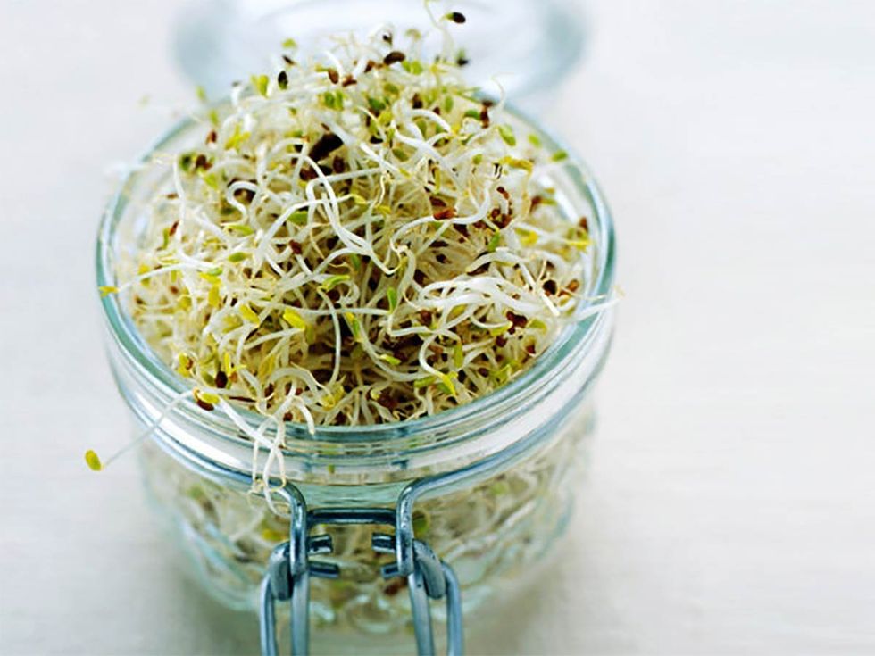 Alfalfa, Sprouting, Ingredient, Bean sprouts, Broccoli sprouts, Food storage containers, Transparent material, Alfalfa sprouts, 
