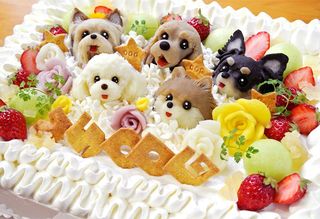 愛犬のバースデーを特別なケーキでお祝いしたい