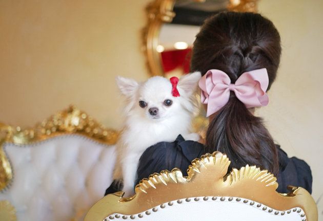 シャーロット様シャネルリボン 大人カワイイ☆【CHANEL】シャネル リボン シュシュ 星柄