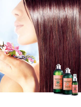 リピーターに朗報 さらツヤ髪効果が進化したロクシタンのヘアオイル