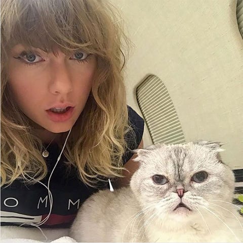 2月22日は猫の日 セレブと愛猫たちのプライベートショットをのぞき見